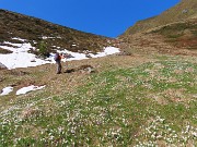 26 Saliamo a vista seguendo i crocus